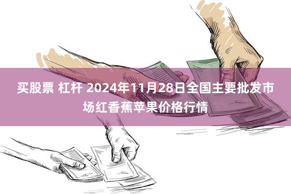 买股票 杠杆 2024年11月28日全国主要批发市场红香蕉苹果价格行情