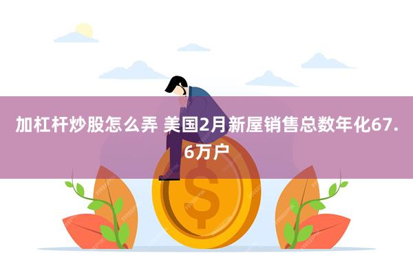 加杠杆炒股怎么弄 美国2月新屋销售总数年化67.6万户