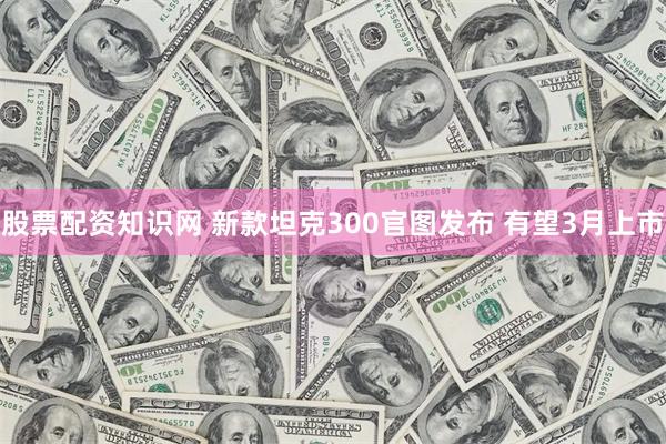 股票配资知识网 新款坦克300官图发布 有望3月上市