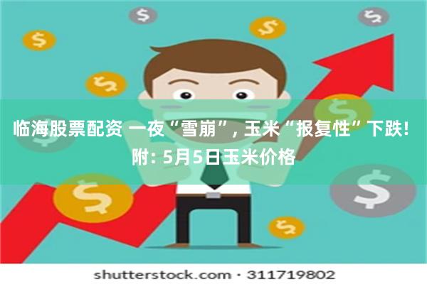 临海股票配资 一夜“雪崩”, 玉米“报复性”下跌! 附: 5月5日玉米价格