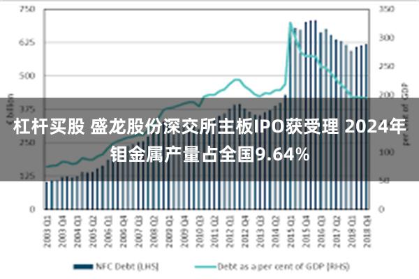 杠杆买股 盛龙股份深交所主板IPO获受理 2024年钼金属产量占全国9.64%