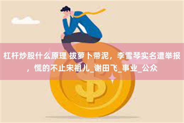 杠杆炒股什么原理 拔萝卜带泥，李雪琴实名遭举报，慌的不止宋祖儿_谢田飞_事业_公众