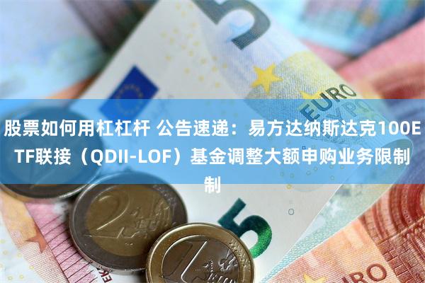 股票如何用杠杠杆 公告速递：易方达纳斯达克100ETF联接（QDII-LOF）基金调整大额申购业务限制