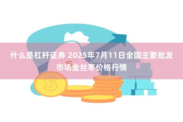 什么是杠杆证券 2025年7月11日全国主要批发市场金丝枣价格行情