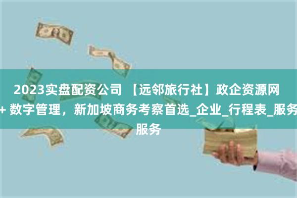2023实盘配资公司 【远邻旅行社】政企资源网 + 数字管理，新加坡商务考察首选_企业_行程表_服务