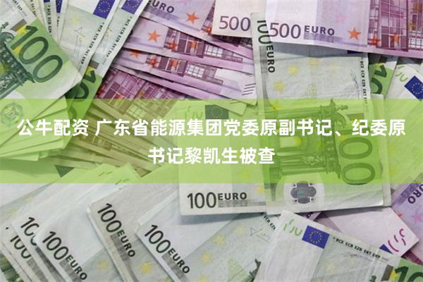 公牛配资 广东省能源集团党委原副书记、纪委原书记黎凯生被查