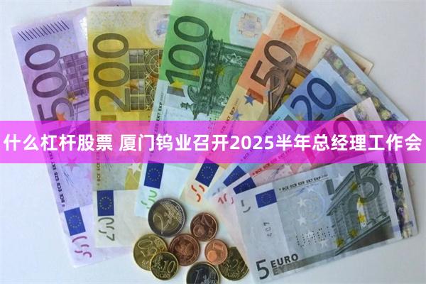 什么杠杆股票 厦门钨业召开2025半年总经理工作会