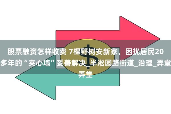 股票融资怎样收费 7棵野树安新家，困扰居民20多年的“夹心墙”妥善解决_半淞园路街道_治理_弄堂