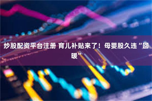 炒股配资平台注册 育儿补贴来了！母婴股久违“回暖”
