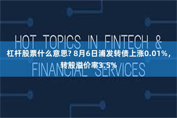 杠杆股票什么意思? 8月6日浦发转债上涨0.01%，转股溢价率3.5%
