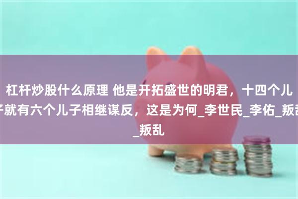 杠杆炒股什么原理 他是开拓盛世的明君，十四个儿子就有六个儿子相继谋反，这是为何_李世民_李佑_叛乱